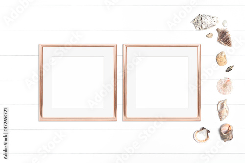 Two golden square frames and seashells on white background
