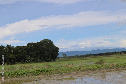 The landscape of coastal rural areas. Tidal waters with blue skies and vast green fields
