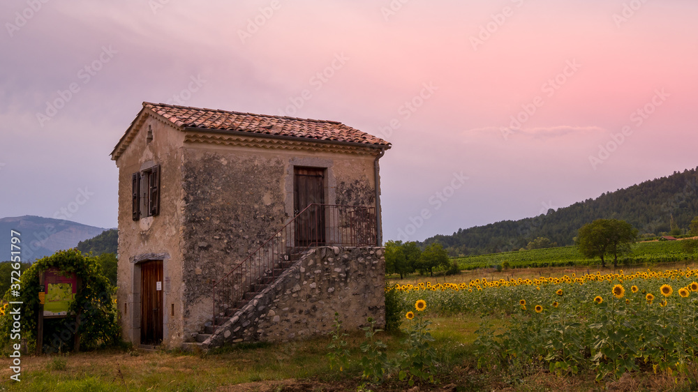 Provençal shed and sunflower field in the late afternoon