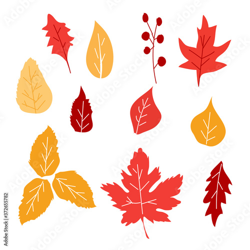 Set of autumn leaf. Autumn leaves collection. Yellow autumnal garden leaf, red fall leaf and fallen dry leaves. Botanical forest plants or september october tree foliage. Flat isolated vector symbols