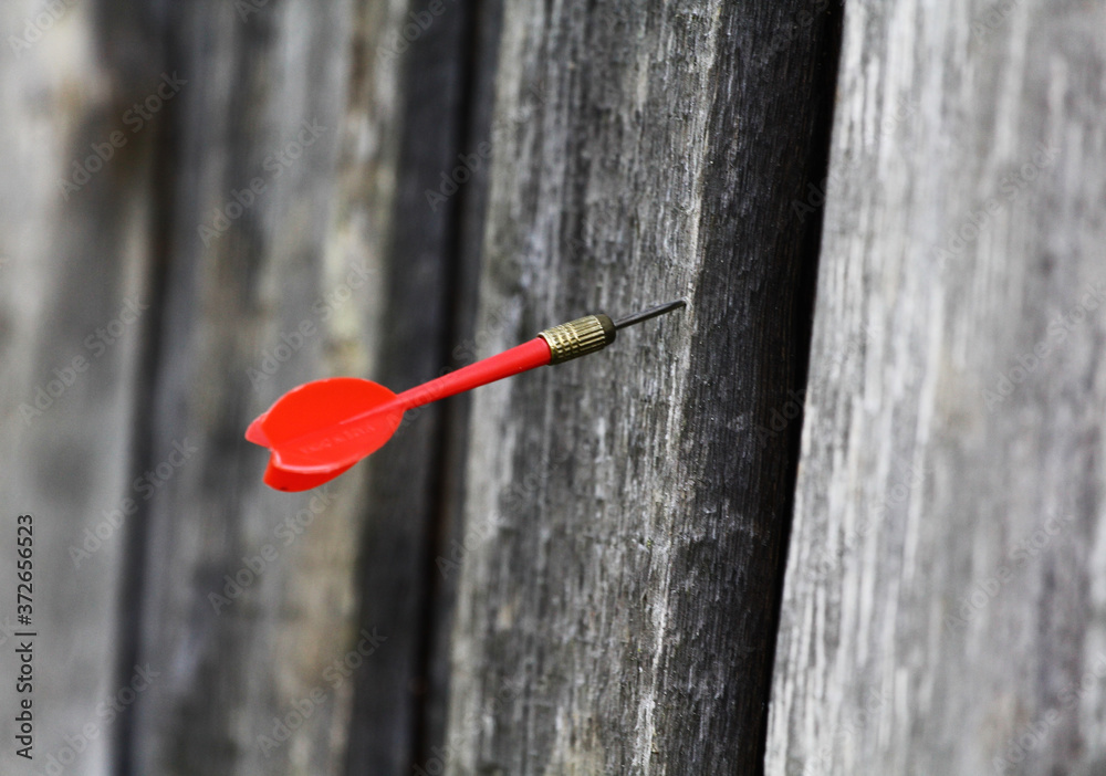 Red dart stuck in a wooden cut with wood texture, gray board. Red dart stuck in a wooden cut with wood texture, gray board.