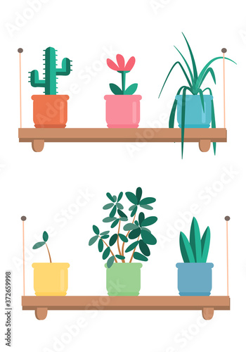 House plants home decor vector illustration set. Cartoon potted green plants flowers collection, houseplants in clay pot, hanging decorative flowerpots isolated on white background
