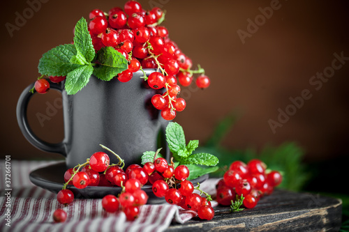 Fresh red currants in a Cup on a dark rustic wooden table. Background with space for copying. Selective focus.