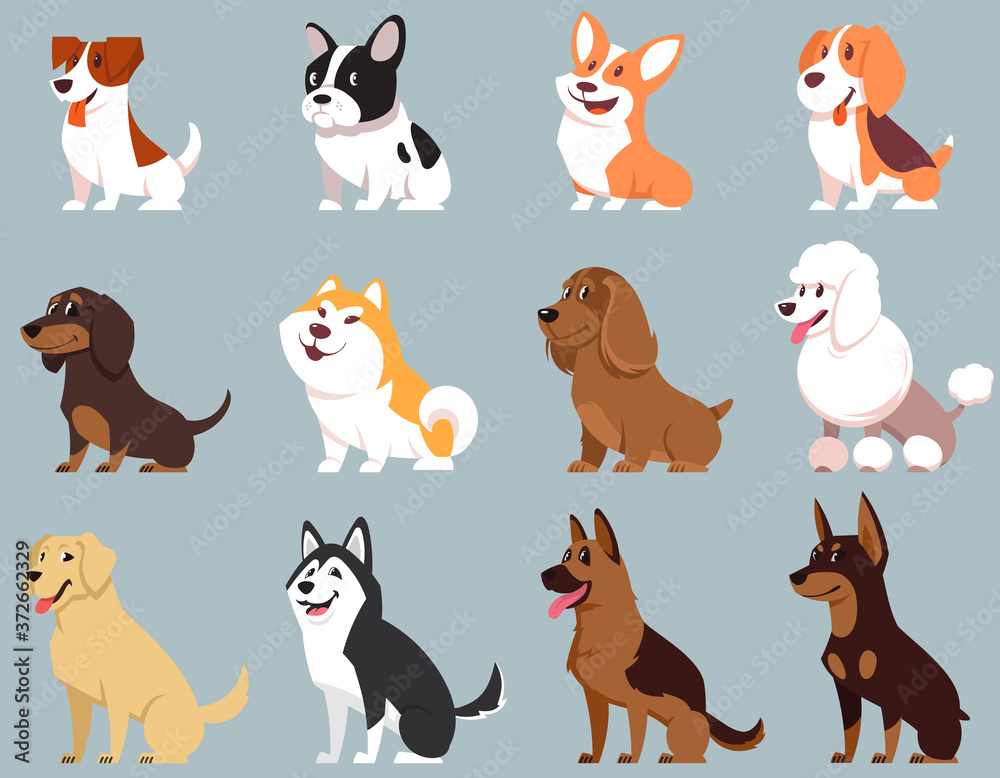 Sitting dogs of different breeds. Big set of cute pets.