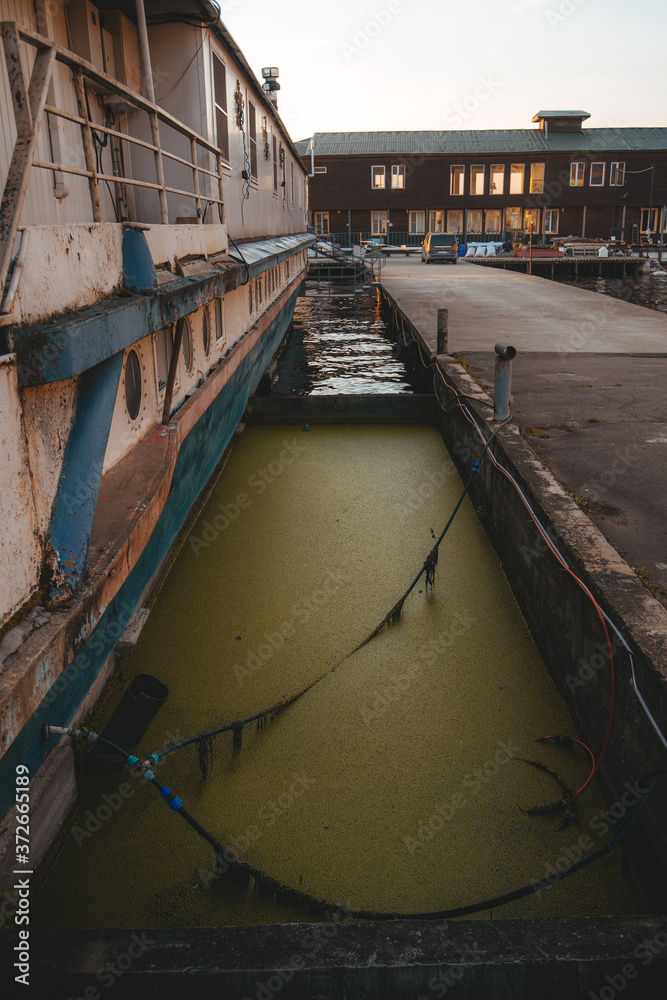 The side of the boat is on the pier. The green murk of the water. Bridge.