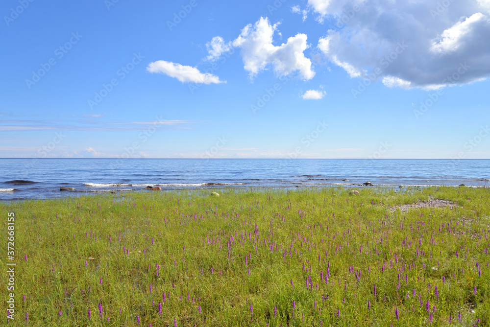 Coast of lake.