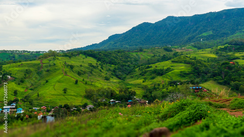 The grassland in the forest is surrounded by colorful houses.