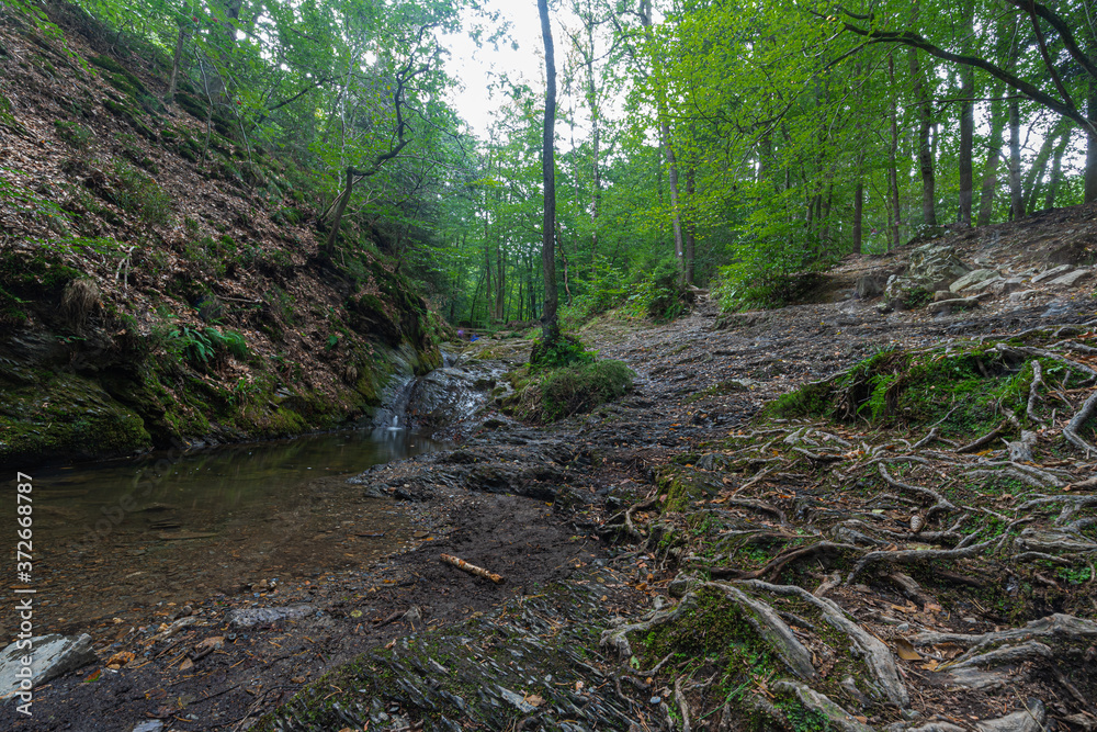 Obraz premium The most beautiful hike in the Belgian Ardennes alongside the Ninlingspo mountain river. Located near Remouchamps in the Liege province. The valley of Ninglinspo is classed as an outstanding heritage