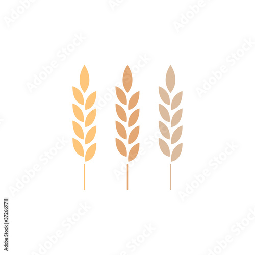 Rice symbol. Oat symbol vector. wallpaper. logo design.