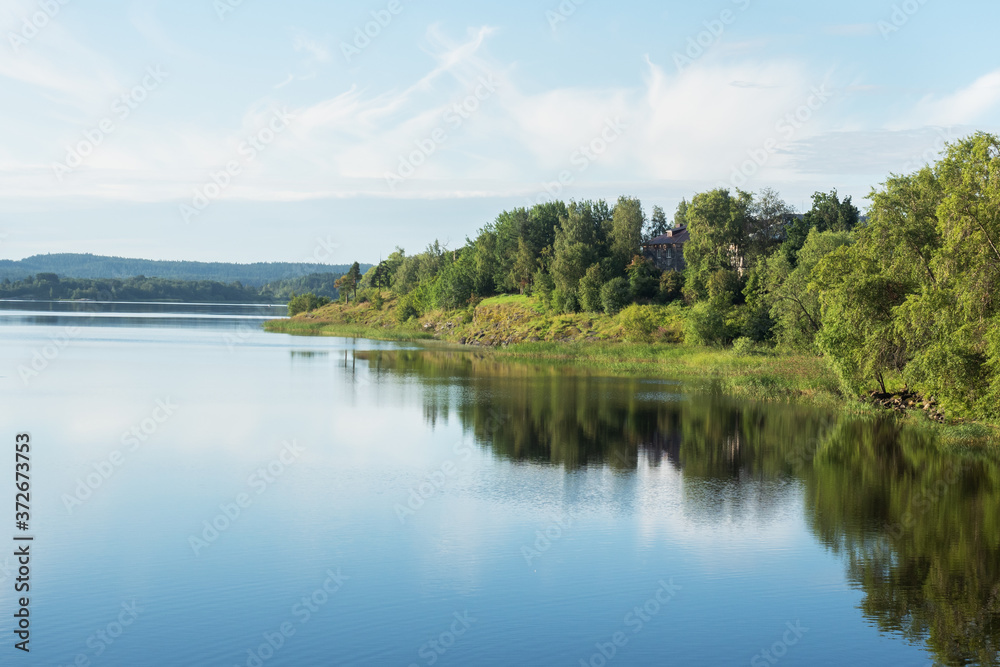 Lake in a pine forest. Summer landscape of nature.