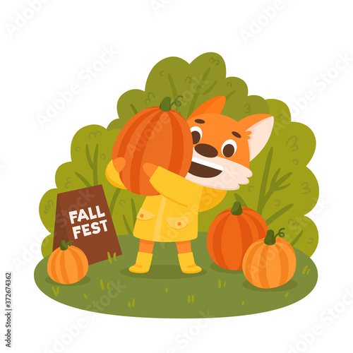 Cartoon fox farmer in yellow raincoat with pumpkins. Autumn harvest festival poster design. Colorful vector illustration.