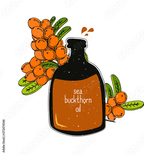 Hand drawn sketch style of sea buckthorn essential oil. Aromatherapy, folk and alternative medicine. Stylized ink herbal illustration. Isolated bottle with sticky oil.