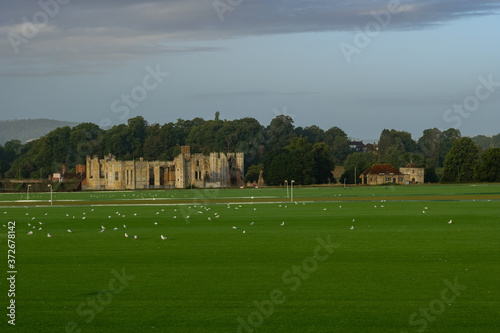 August walk around Cowdray Park, West Sussex, England, UK photo