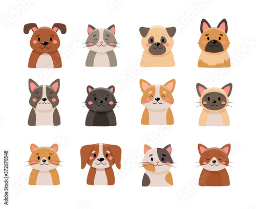 Cute pets collection, isolated on white background