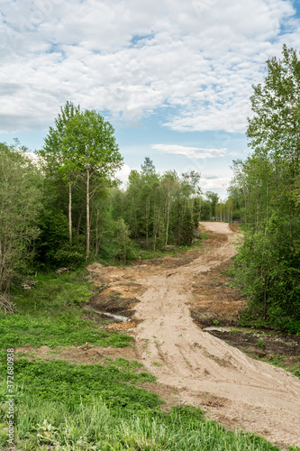 Empty sand dirt road through forest landscape.