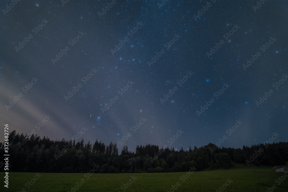 A single Perseid meteor photographed on August 12, 2020, from a forest near Leutkirch in Germany.