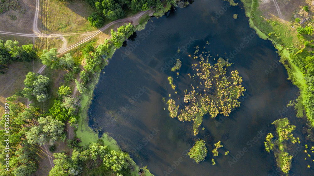Drone photo over beautiful lake with green trees