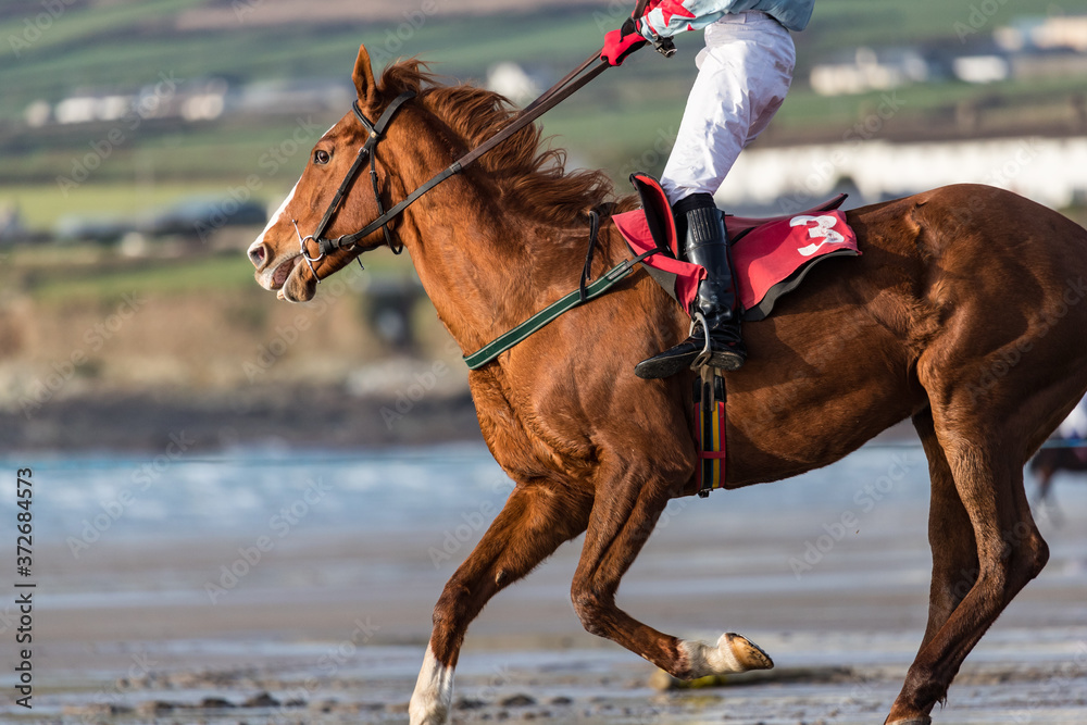 Close up on galloping race horse on the beach, west coast of Ireland Close up on galloping race horse on the beach, west coast of Ireland