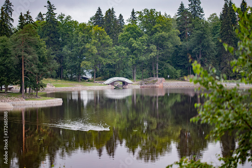 Rocks and trees reflected in the lake water © Yuliya