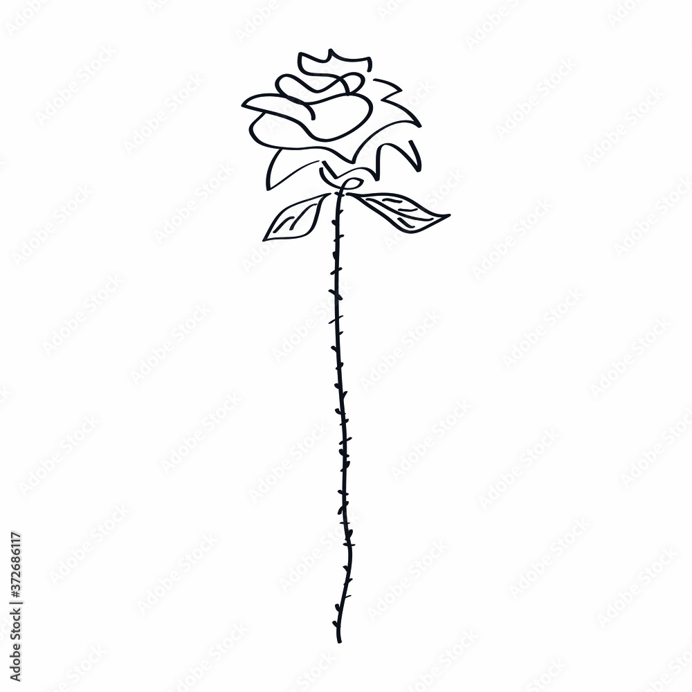 Obraz premium Rose flower stem petals thorns logo icon sign symbol Doodle sketch Hand drawn Modern cartoon ink style Fashion print clothes apparel greeting invitation card banner menu poster summer flyer cover