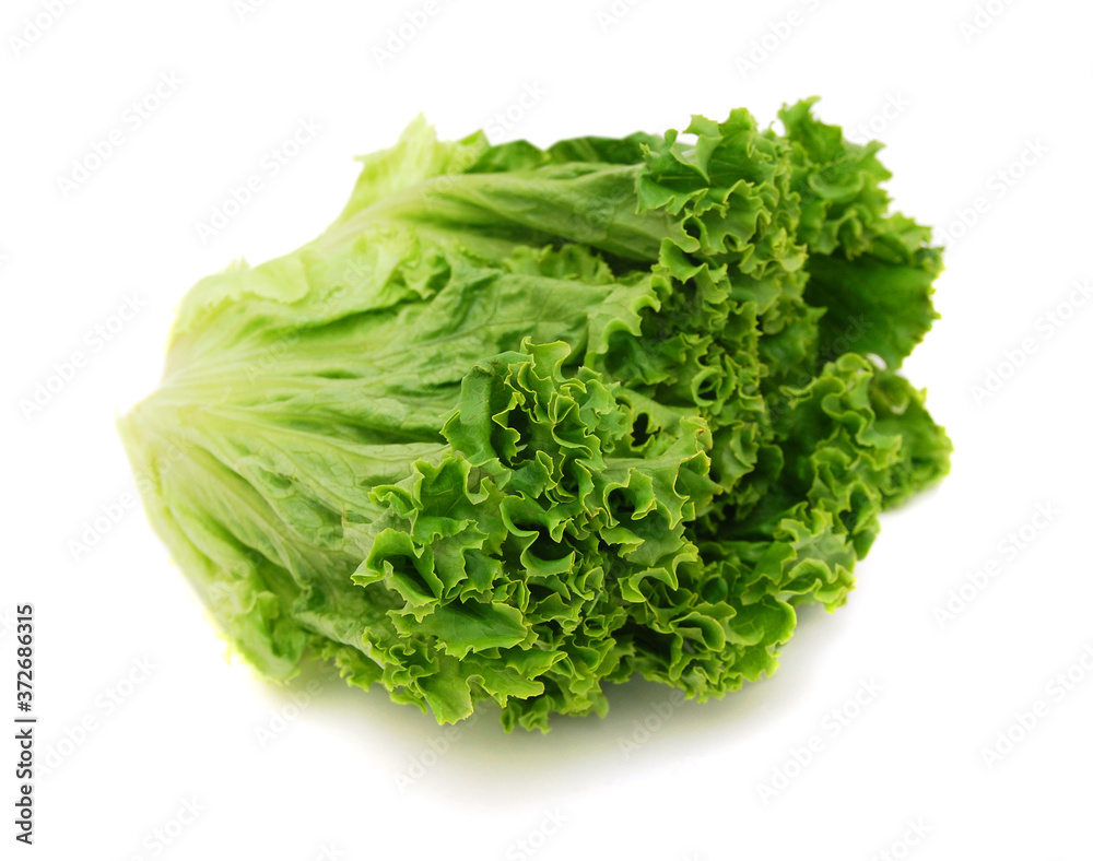 Bunch of fresh green salad isolated over white Bunch of fresh green salad isolated over white