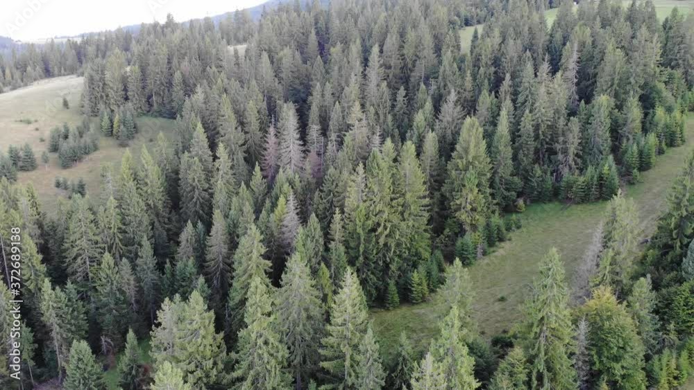 Aerial top drone view of spruce and pine forest in beautiful mountains. No people, travel concept. Enjoying nature Aerial top drone view of spruce and pine forest in beautiful mountains. No people, travel concept. Enjoying nature
