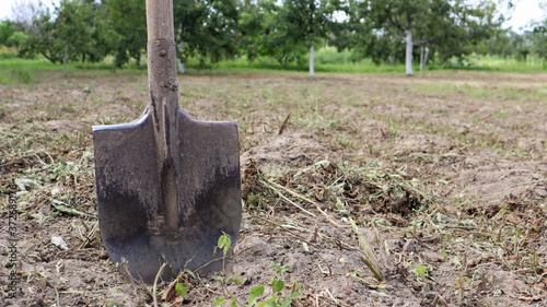 A sharp old farmer's shovel sticks out of the ground in cultivated agricultural fields. Garden village. hard manual work