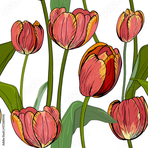Seamless pattern of red orange colored tulips on a white background. Endless texture with floral romantic elements for season spring design. Vector hand drawn illustration. 