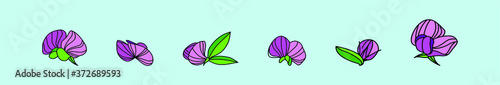 set of sweet pea flowers cartoon icon design template with various models. vector illustration