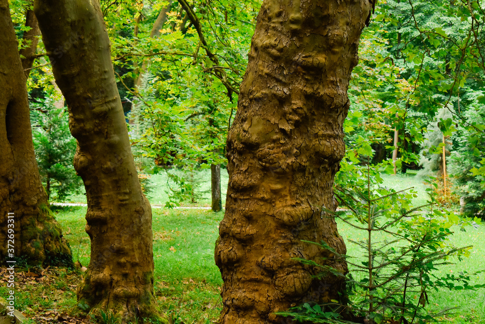 Naklejka premium A day in the park