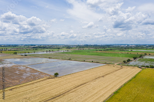 aerial view from flying drone of Field rice with landscape green pattern nature background, top view field rice 