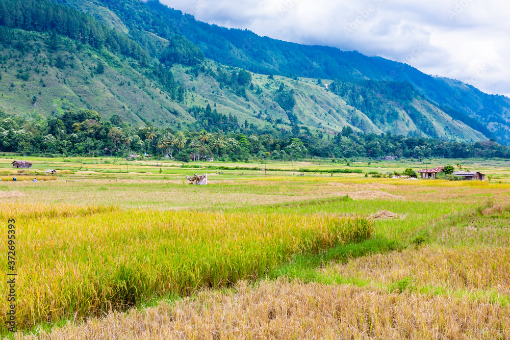 Obraz premium Samosir island in Lake Toba, Sumatra, Indonesia