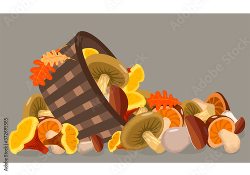 autumn basket and edible mushrooms