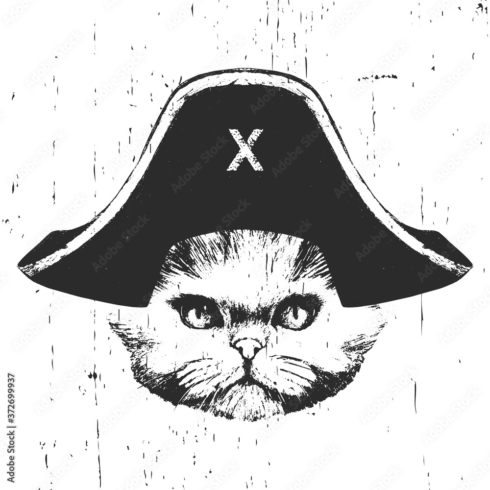 Portrait of Persian Cat with a pirate hat. Vector. 