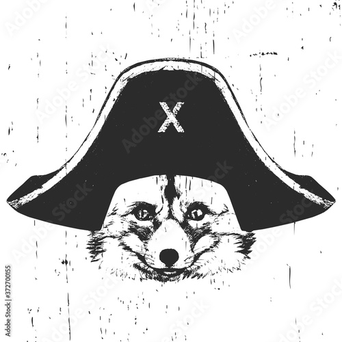 Portrait of Fox with a pirate hat. Vector. 