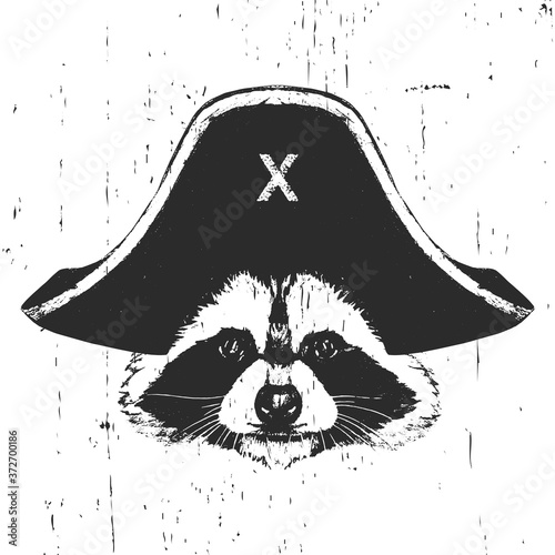 Portrait of Raccoon with a pirate hat. Vector. 