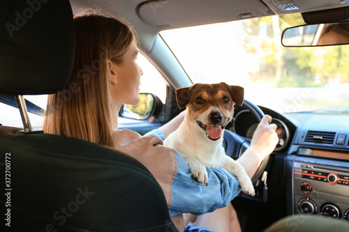 Woman with cute dog traveling by car