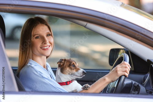 Woman with cute dog traveling by car © Pixel-Shot