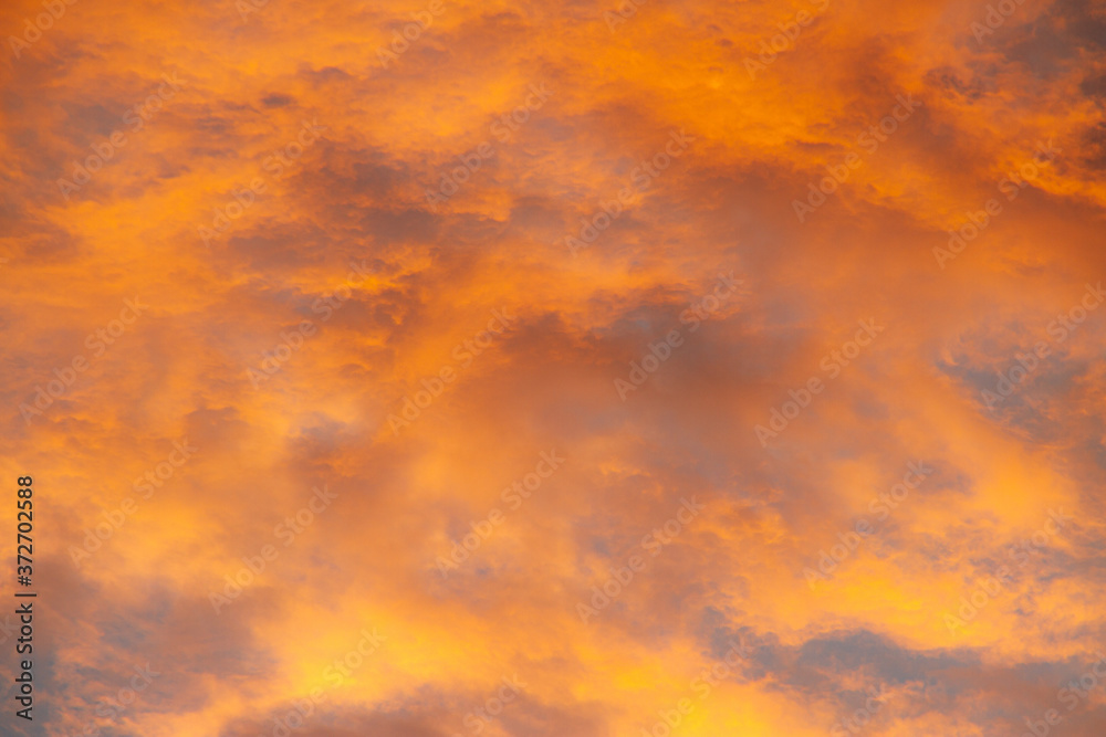 Fototapeta premium Clouds brilliantly lite up by the evening sun.