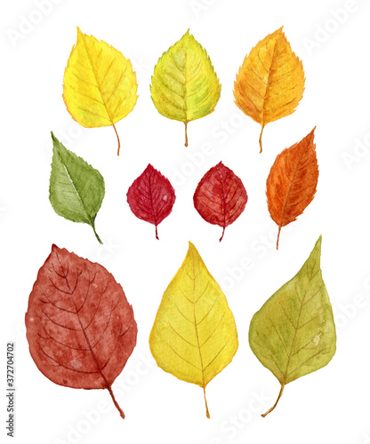 秋の葉　水彩　素材
