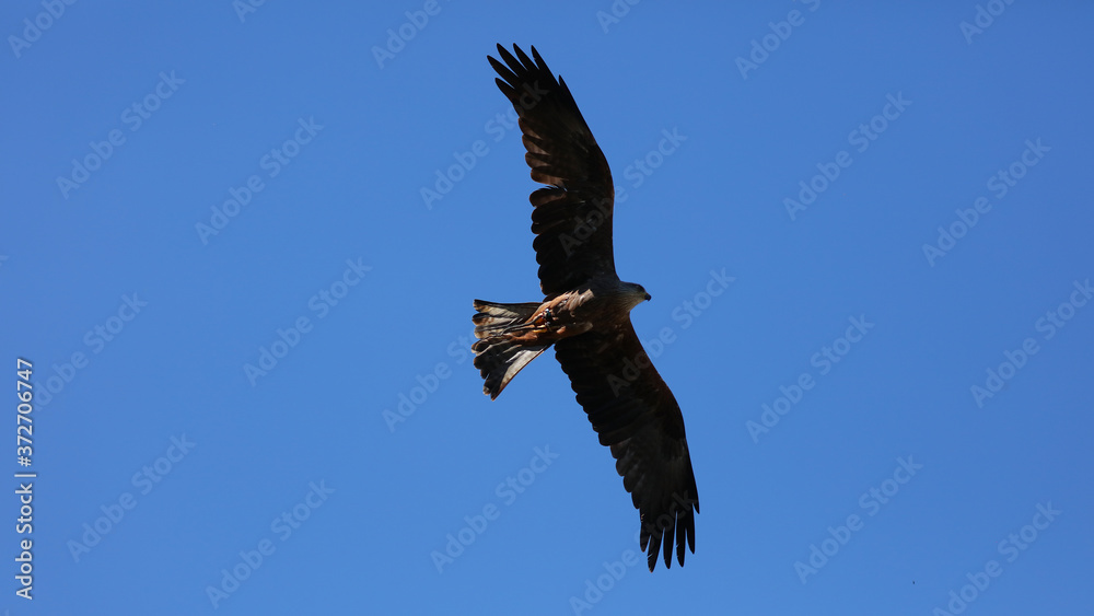 fue tomada en el Parque de la Naturaleza de Cabárceno, Cantabria, España. fue tomada en el Parque de la Naturaleza de Cabárceno, Cantabria, España.