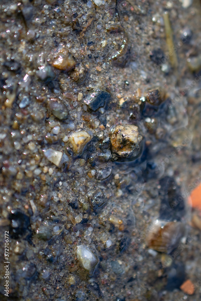 stones, macro, seashells and stones, texture, water stones, macro, seashells and stones, texture, water