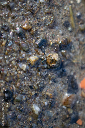 stones  macro  seashells and stones  texture  water