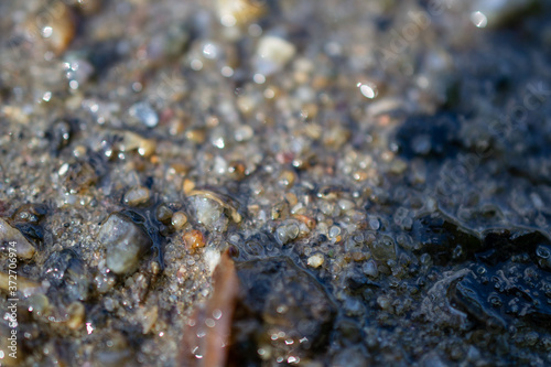 stones, macro, seashells and stones, texture, water