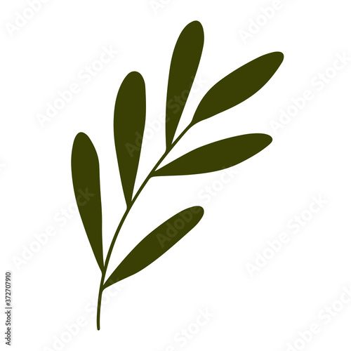 Fototapeta Naklejka Na Ścianę i Meble -  Hand drawn single branch with leaves. Doodle vector illustration for logo, poster, banner, card, pattern, fabric, christmas design, clothes, paper crafts, wedding design. Elegant and simple drawing.