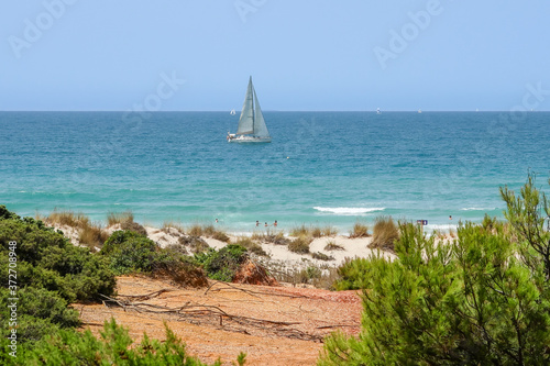 Boat passing in front of the sand dunes that give access to La Barrosa beach in Sancti Petri  C  diz  Spain.