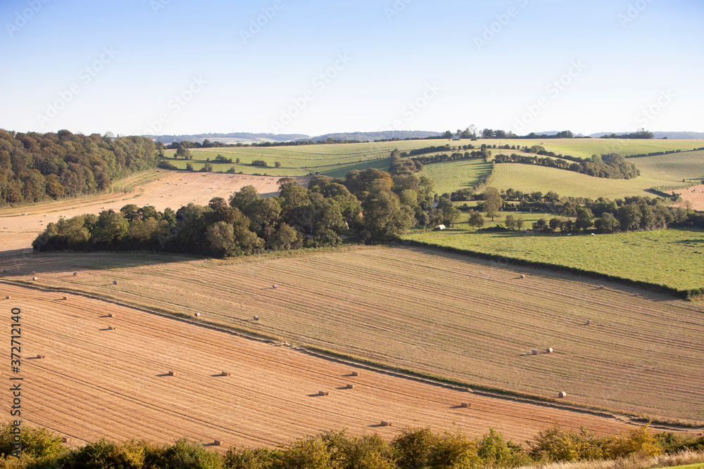 Fototapeta premium french countryside near Calais in parc regional de caps et marais in the north of france