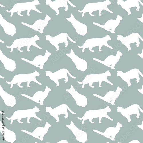 Vector seamless pattern with cat silhouettes, isolated on blue background. Veterinary clinic or pet shop concept, print for textile