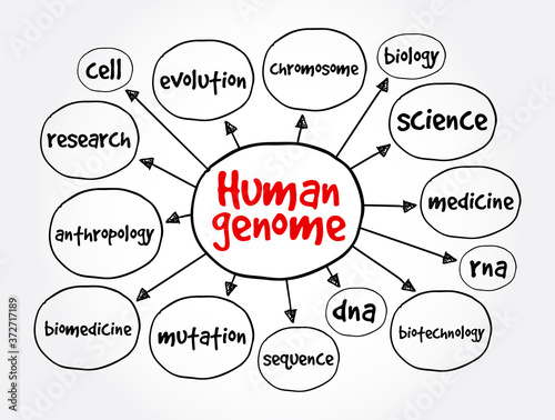 Human genome mind map, medical concept for presentations and reports