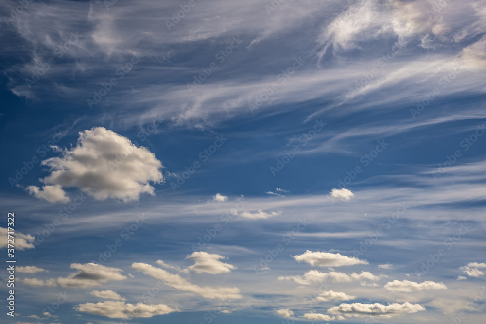 Fototapeta premium Blue sky background with big white tiny stratus cirrus striped clouds